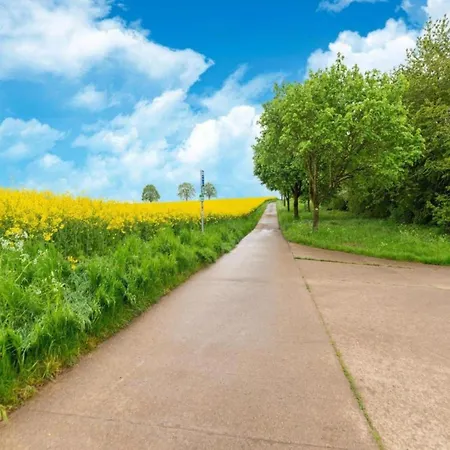 Feriehus Charming Family In (adults Only)