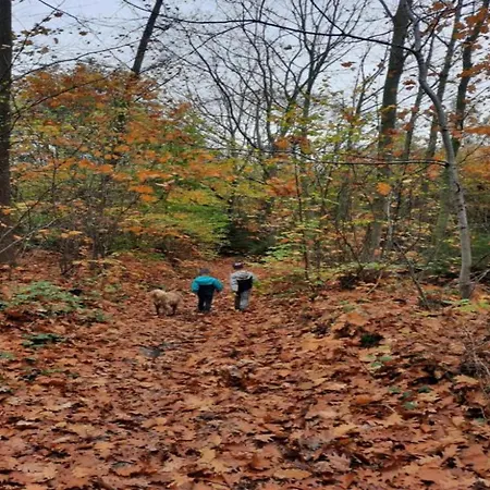 Charming Family In (adults Only) Feriehus Esneux